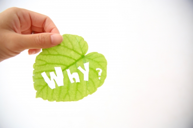 管理費はどのようなことに利用されているのか